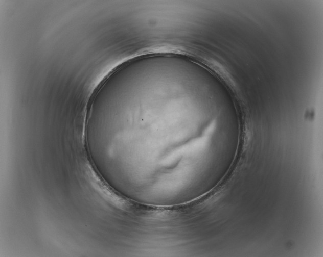X0000111361228200907241214