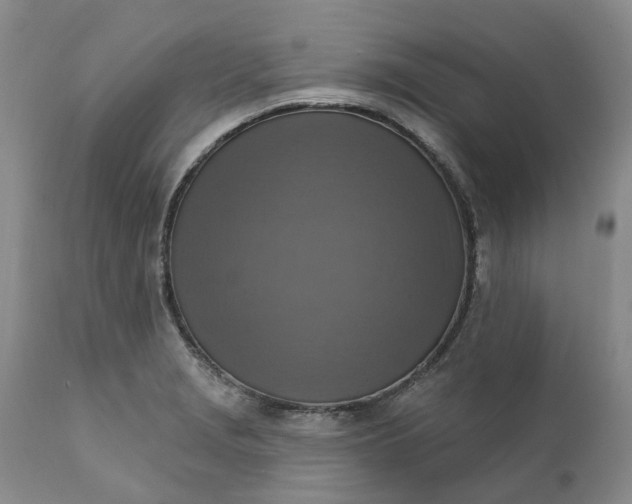 X0000111361229200907241214