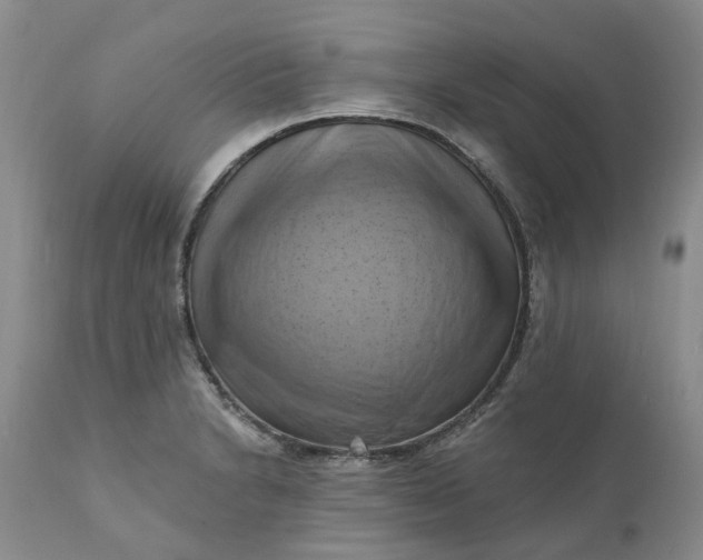 X0000111361230200907241214