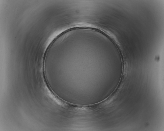 X0000111361231200907241214