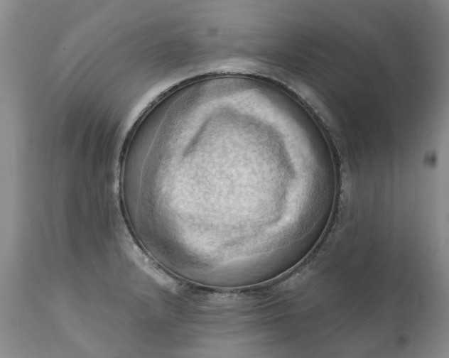 X0000111361232200907241214