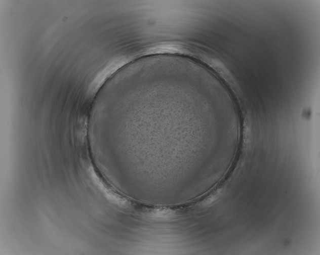X0000111361233200907241214