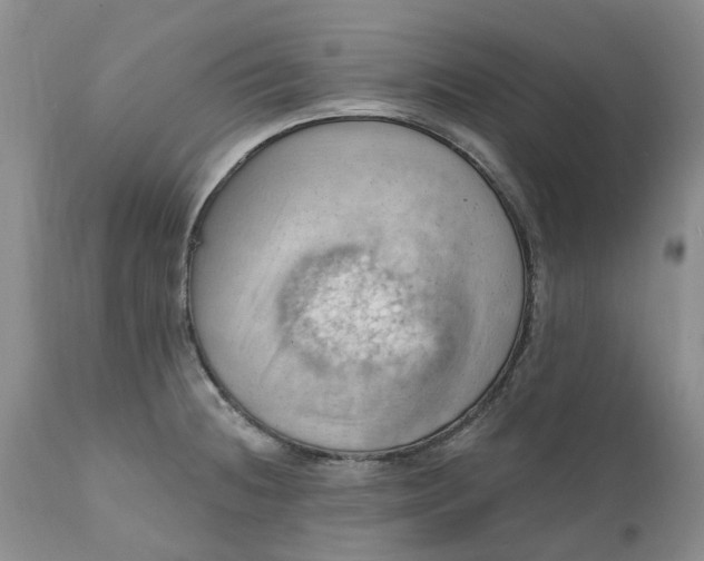 X0000111361236200907241214
