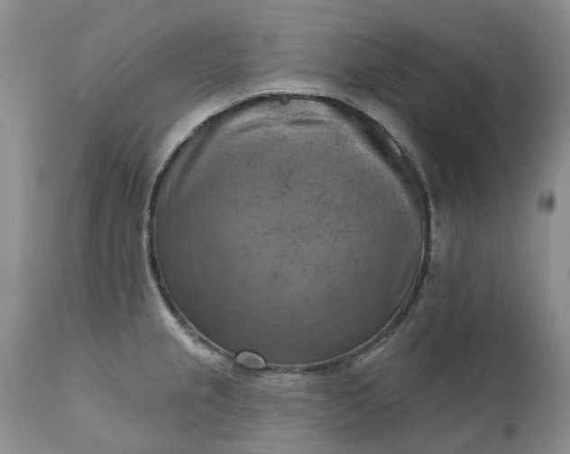 X0000111361237200907241214