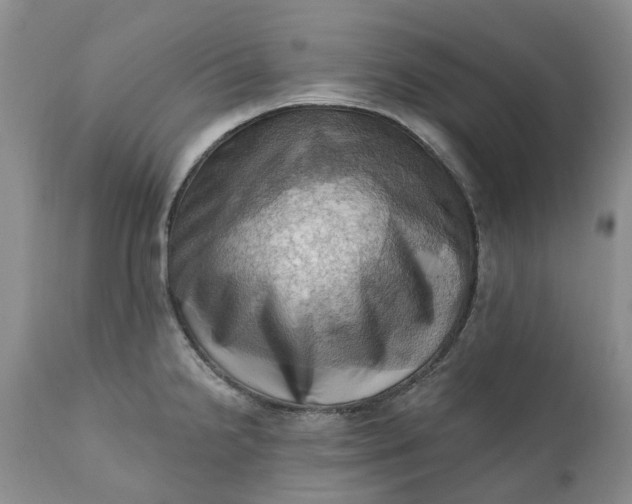 X0000111361238200907241214