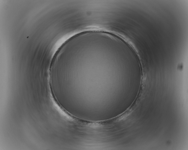X0000111361239200907241214