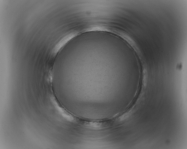 X0000111361241200907241214