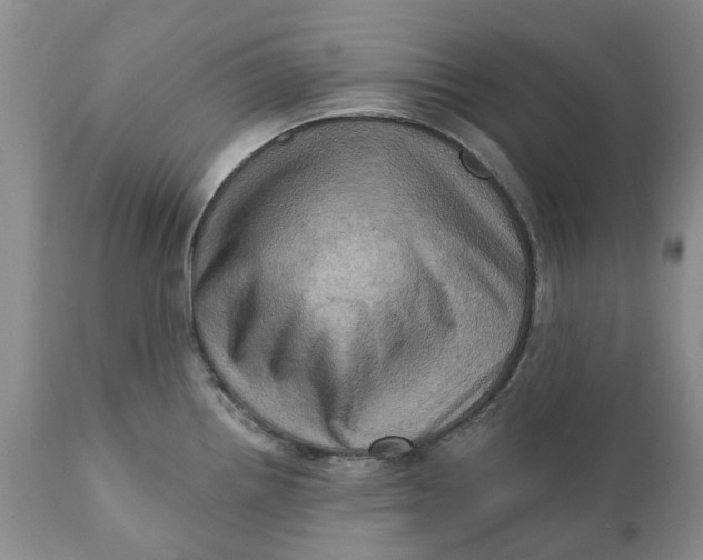X0000111361242200907241215