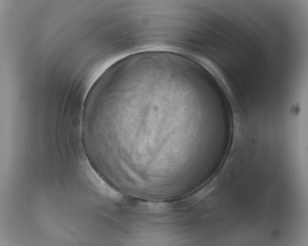 X0000111361244200907241215