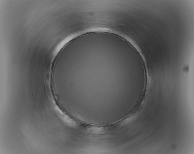 X0000111361245200907241215