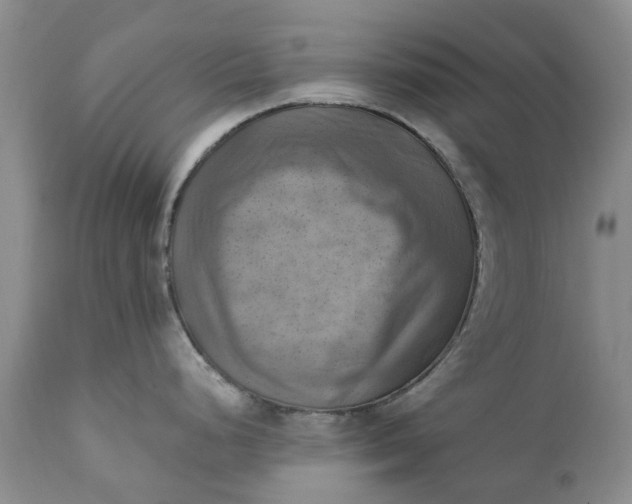 X0000111361248200907241215