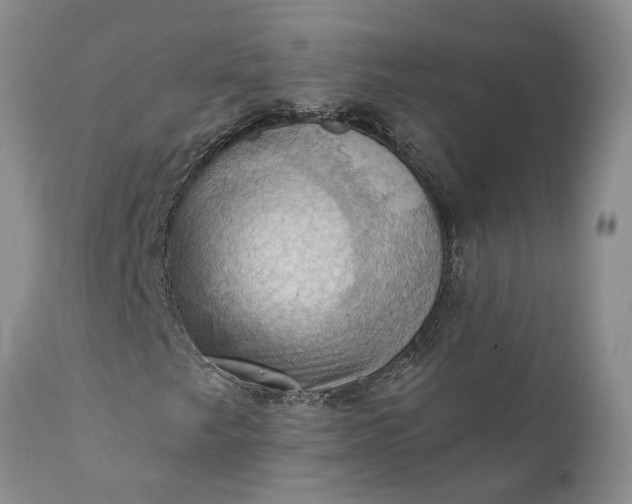 X0000111361249200907241214
