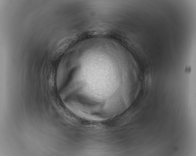 X0000111361250200907241214