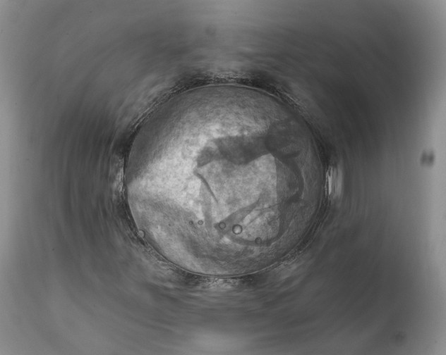 X0000111361251200907241214