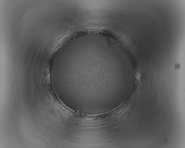 X0000111361252200907241214