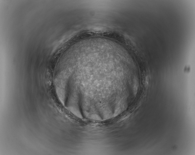 X0000111361253200907241214