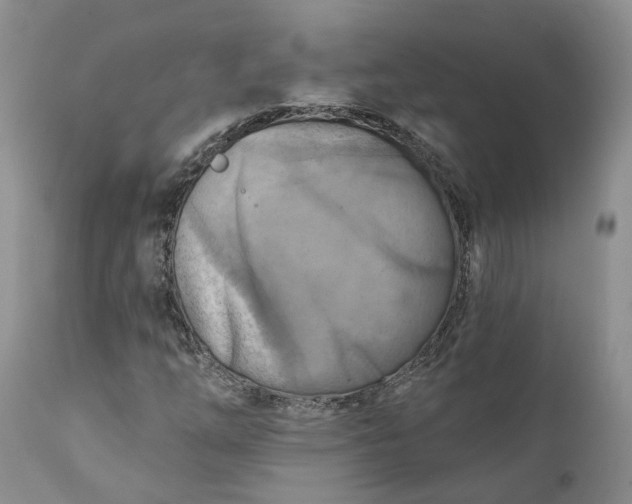X0000111361254200907241214