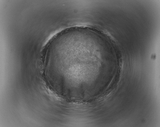 X0000111361256200907241214