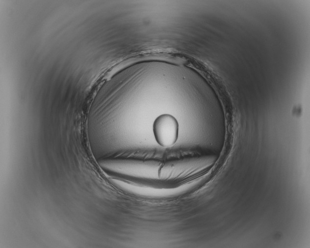 X0000111361257200907241214