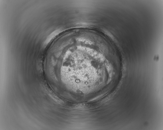 X0000111361259200907241214