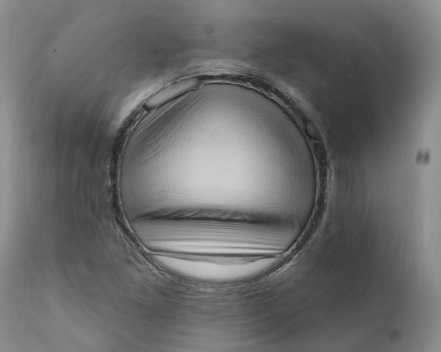 X0000111361261200907241214