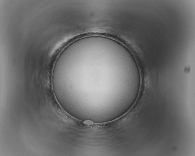 X0000111361262200907241214