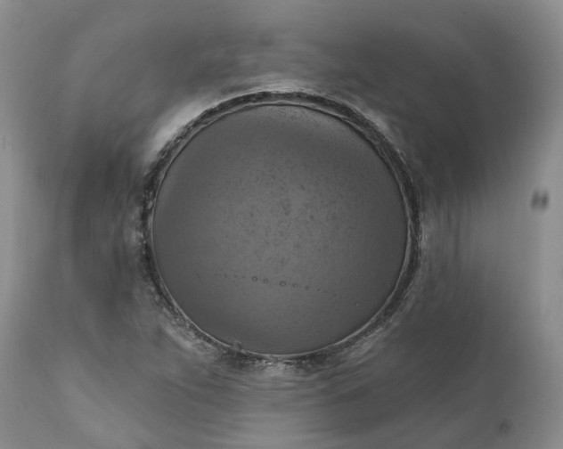 X0000111361263200907241214