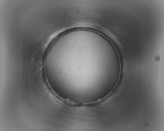 X0000111361264200907241214