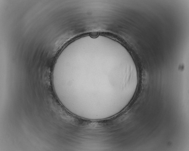 X0000111361265200907241214