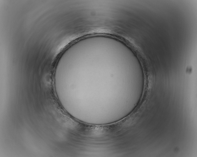 X0000111361266200907241214