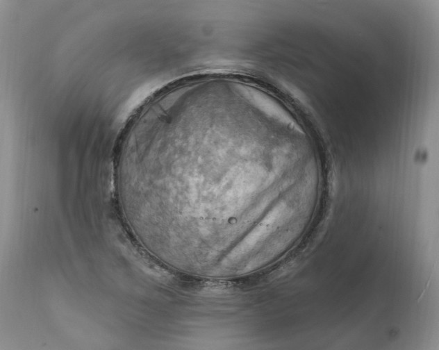X0000111361267200907241214