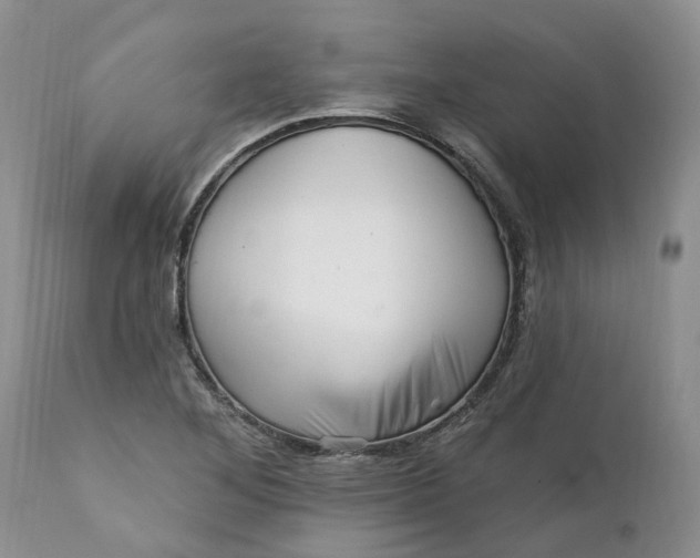 X0000111361268200907241214