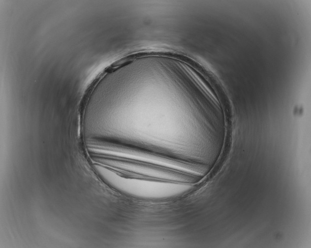 X0000111361269200907241214