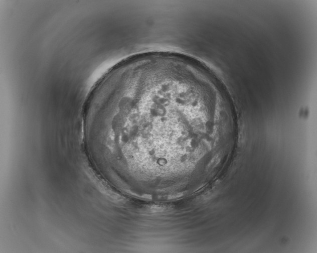X0000111361271200907241214