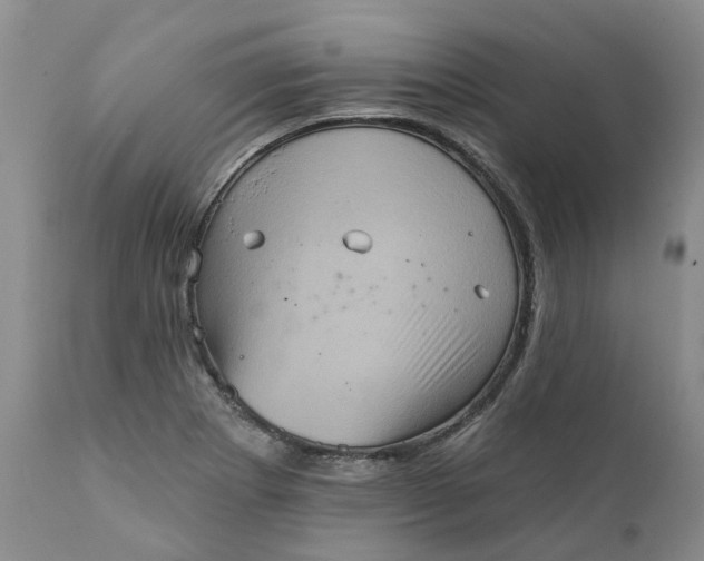 X0000111361273200907241214