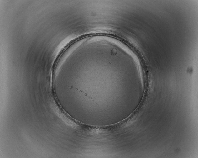 X0000111361275200907241214