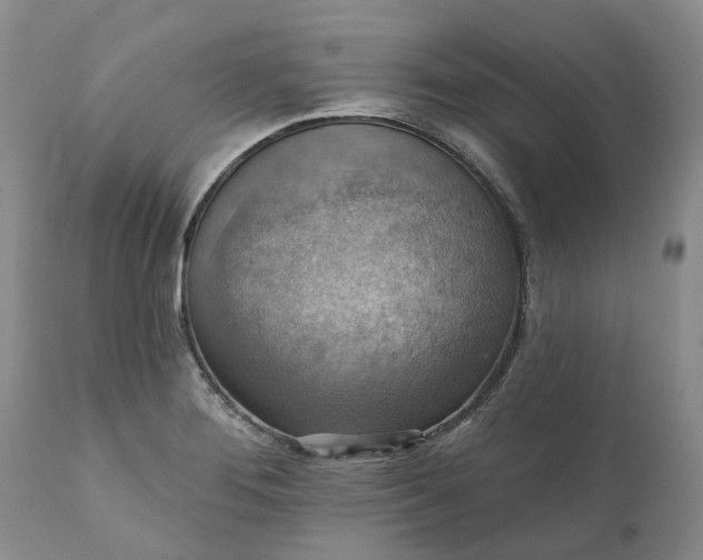 X0000111361276200907241214