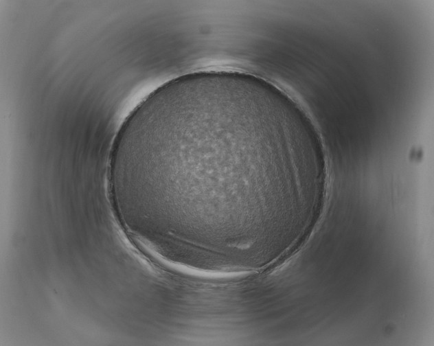 X0000111361277200907241214