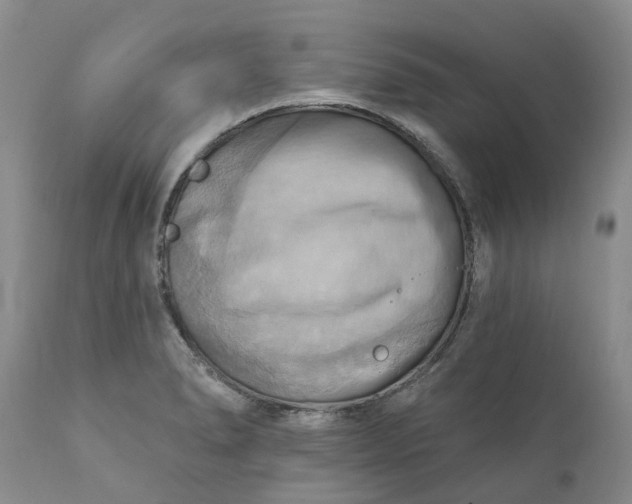 X0000111361278200907241214