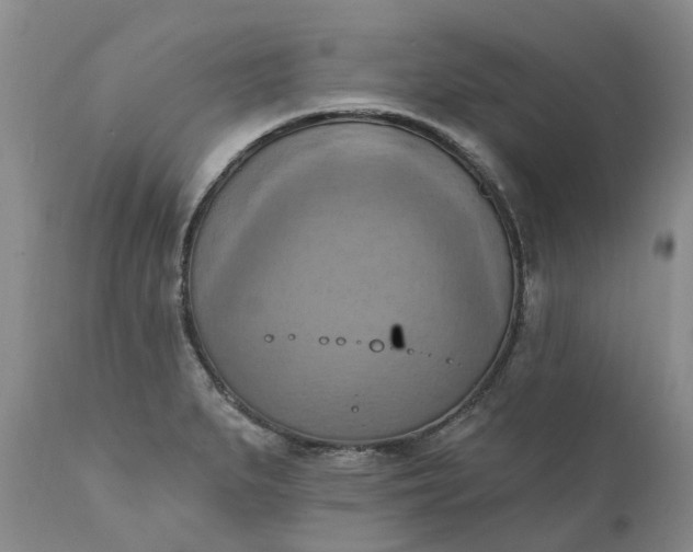 X0000111361279200907241214
