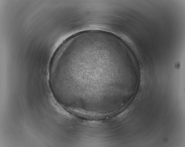 X0000111361280200907241213
