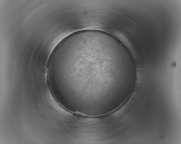 X0000111361284200907241213