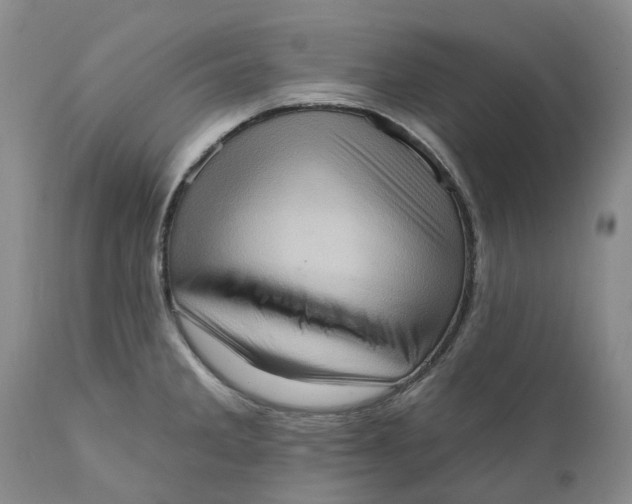 X0000111361285200907241213