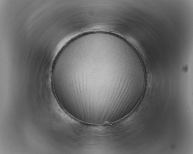 X0000111361288200907241213