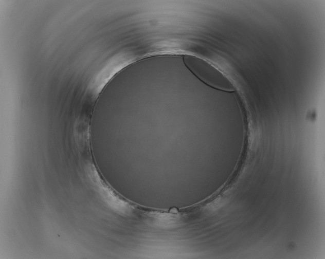 X0000111361289200907241213