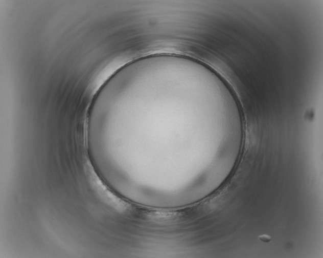 X0000111361290200907241213