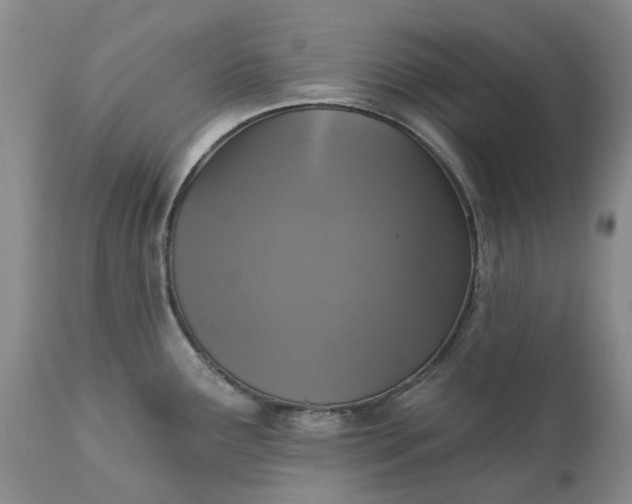 X0000111361291200907241213
