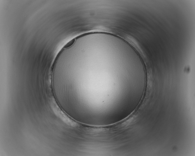 X0000111361292200907241213
