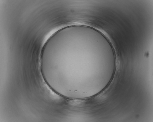 X0000111361294200907241213