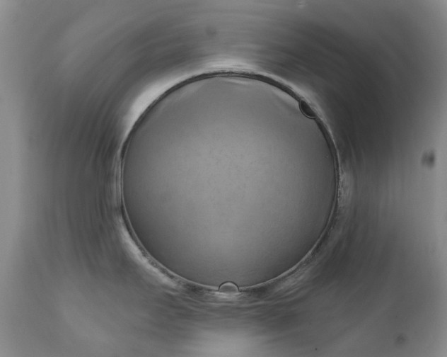 X0000111361295200907241213
